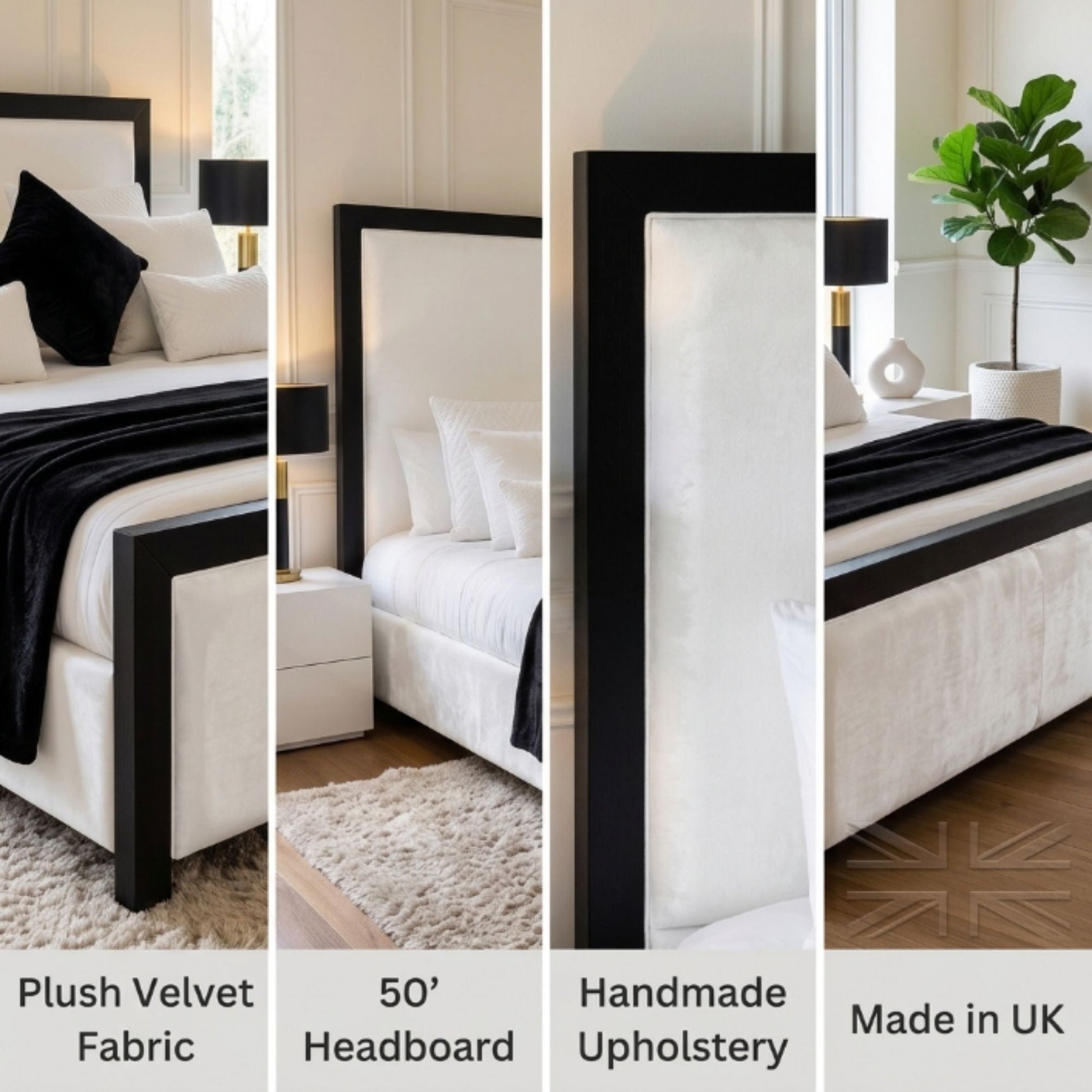 Monarch Contrast Frame Bed Frame - Eagle Bed